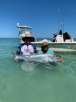 Tarpon fishing in Clearwater, Florida