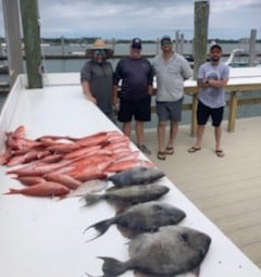 Triggerfish, Vermillion Snapper Fishing in Orange Beach, Alabama