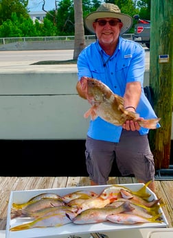 Red Grouper, Yellowtail Snapper fishing in Key West, Florida