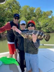 Sheepshead fishing in Naples, Florida