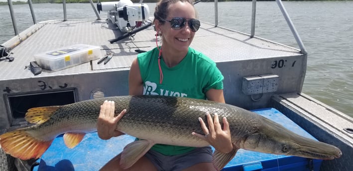 Alligator Gar fishing in Livingston, Texas