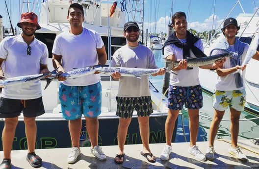 Barracuda, King Mackerel / Kingfish Fishing in Hillsboro Beach, Florida