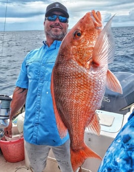 Red Snapper fishing in Clearwater, Florida