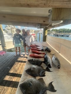 Fishing in Orange Beach, Alabama