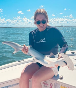Hammerhead Shark fishing in Fort Myers Beach, Florida