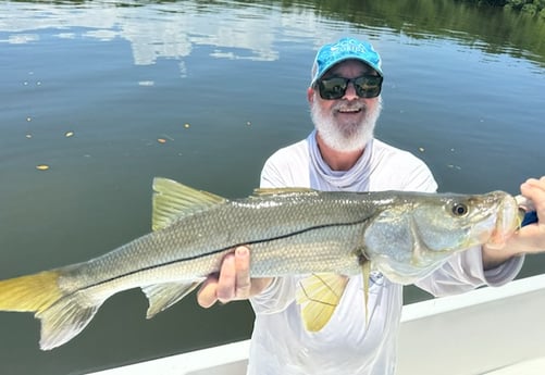 Fishing in St. Petersburg, Florida
