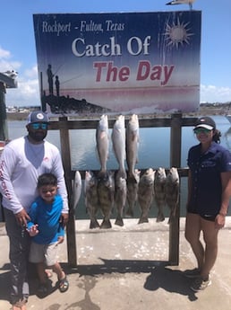 Black Drum, Redfish fishing in Rockport, Texas