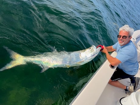 Tarpon Fishing in Key West, Florida