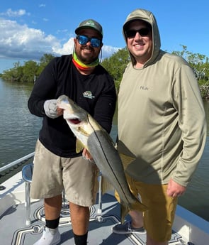 Snook Fishing in Key Largo, Florida