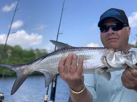 Tarpon Fishing in Jupiter, Florida