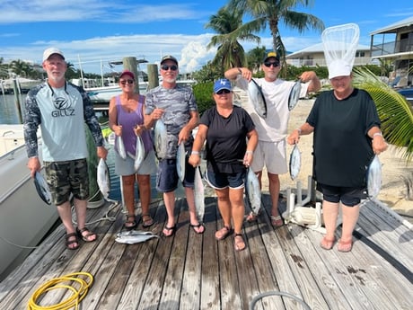 Blackfin Tuna Fishing in Marathon, Florida