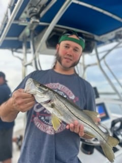 Snook Fishing in Port Orange, Florida