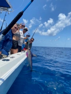 Swordfish fishing in Destin, Florida