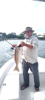 Redfish Fishing in Orange Beach, Alabama