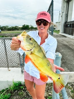 Fishing in Miami, Florida