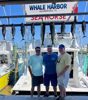 Fishing in Islamorada, Florida