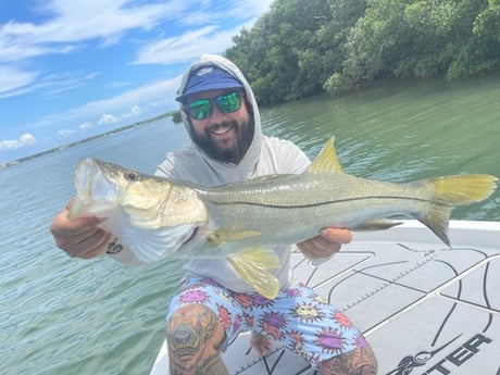 Snook fishing in Clearwater, Florida