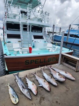 Fishing in Miami Beach, Florida