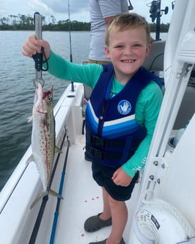 Spanish Mackerel fishing in Panama City, Florida