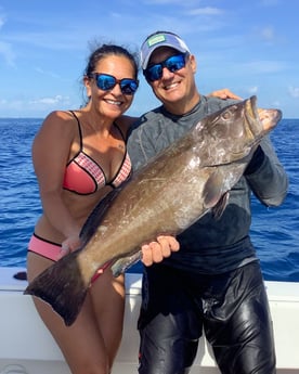 Black Grouper Fishing in Islamorada, Florida