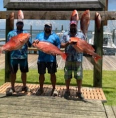 Red Snapper fishing in Gulf Shores, Alabama