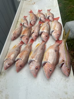 Fishing in Port Orange, Florida