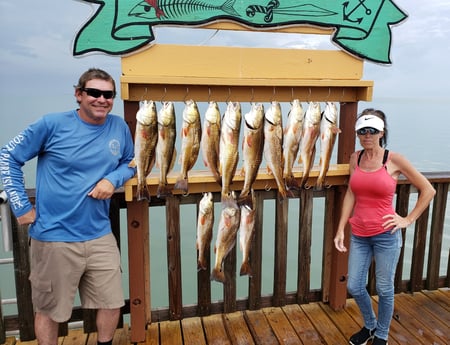 Redfish, Sheepshead fishing in Port Isabel, Texas