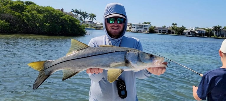 Snook Fishing in Sarasota, Florida