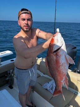 Red Snapper Fishing in Niceville, Florida