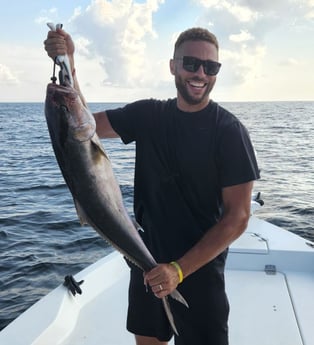 Amberjack fishing in Pensacola, Florida