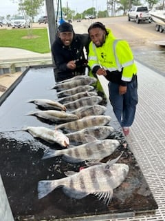 Black Drum, Speckled Trout Fishing in Galveston, Texas