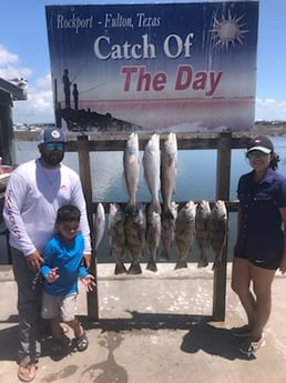 Black Drum, Redfish fishing in Rockport, Texas