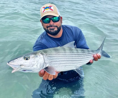 Bonefish Fishing in Tavernier, Florida