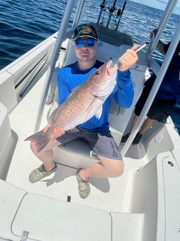 Mangrove Snapper fishing in Panama City, Florida