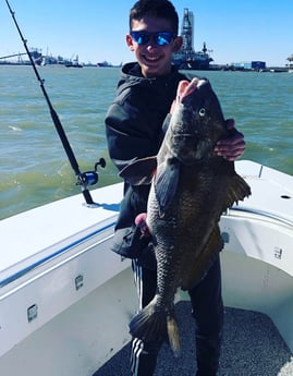 Black Drum fishing in Galveston, Texas