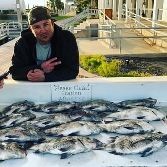 Sheepshead Fishing in Galveston, Texas