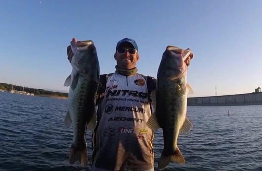 Largemouth Bass fishing in Austin, Texas