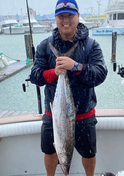 King Mackerel / Kingfish fishing in South Padre Island, Texas