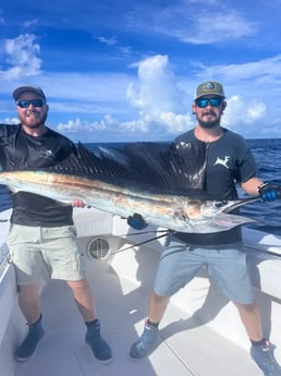 Sailfish Fishing in Marathon, Florida