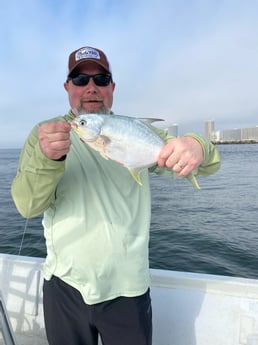 Florida Pompano Fishing in Orange Beach, Alabama