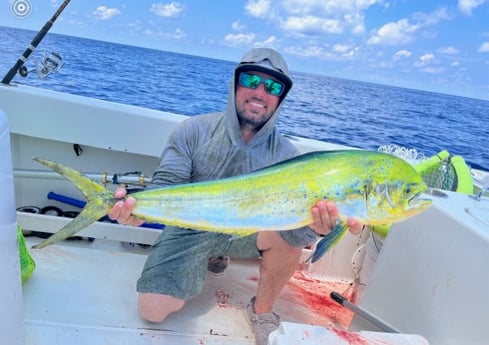 Mahi Mahi Fishing in Marathon, Florida