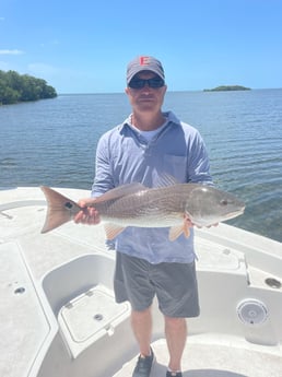 Redfish fishing in Fort Myers, Florida