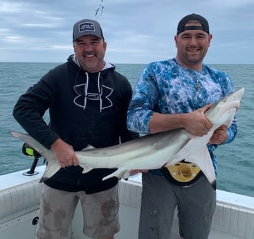 Blacktip Shark fishing in Galveston, Texas