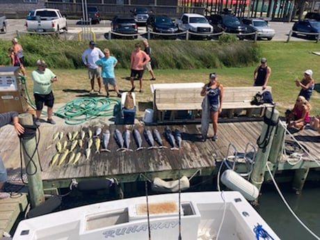 Mahi Mahi / Dorado, Wahoo fishing in Marathon, Florida