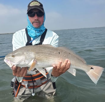 Redfish fishing in Aransas Pass, Texas