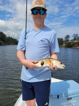 Redfish Fishing in Santa Rosa Beach, Florida