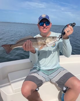 Redfish fishing in Sarasota, Florida