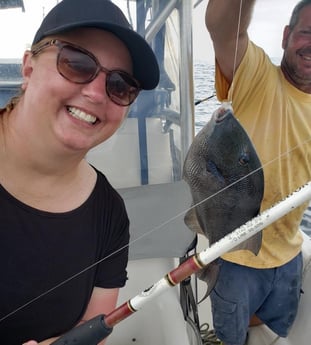 Triggerfish Fishing in Destin, Florida