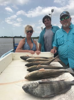 Black Drum, Redfish fishing in Galveston, Texas