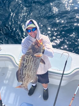 Black Grouper Fishing in Fort Lauderdale, Florida